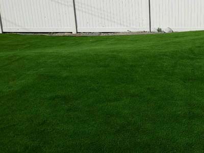 Artificial Grass